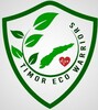 Timor Eco Warriors Weebly